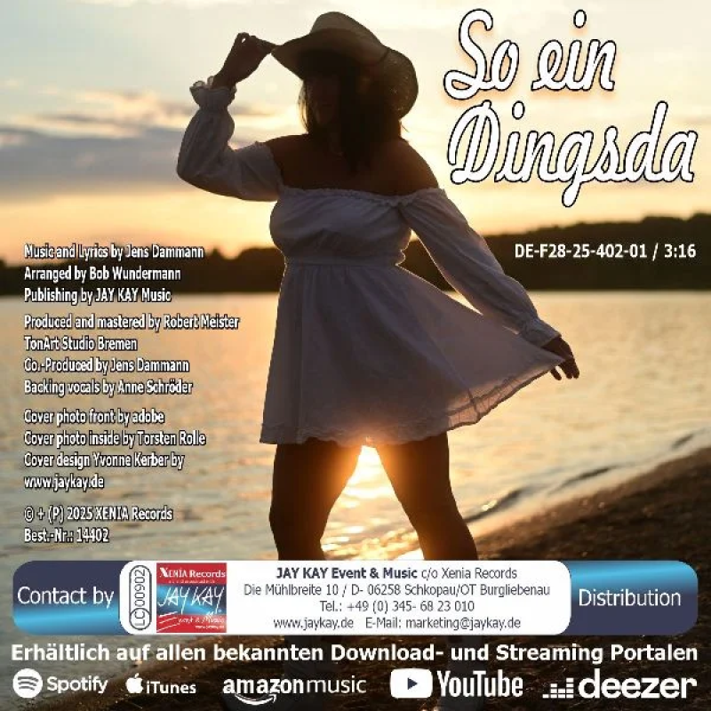 Jens Dammann - So ein Dingsda